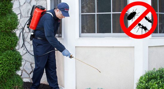 Banaz Kemirgen İlaçlama böcek ilaçlama ve haşere kontrolü — ilaclama-tr.com
